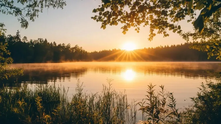 God's Love Letter to Me: A Reflection from Adoration